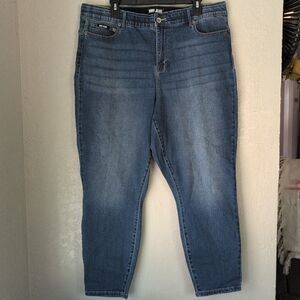 DKNY Women's Bleecker Shaping Skinny Jeans 18W Stretch Shaping Comfy Sexy
